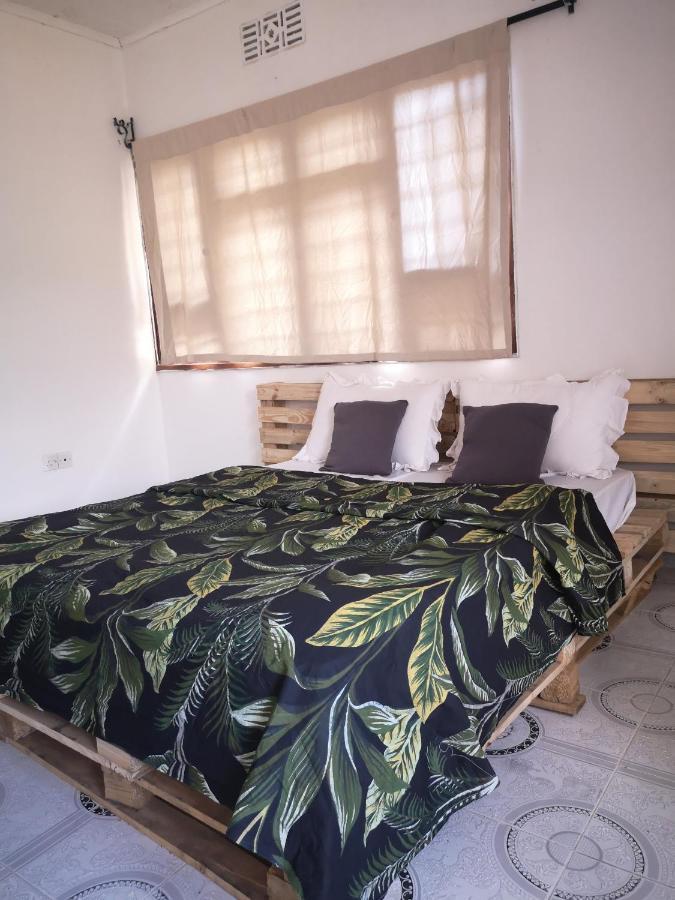 Bed and Breakfast Safari Adventures-House Arusha Exterior foto