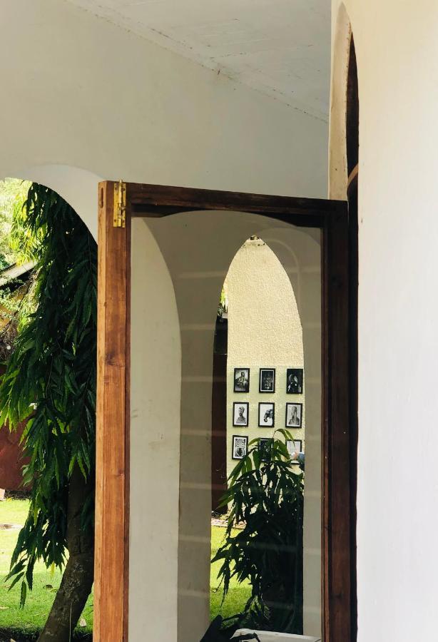 Bed and Breakfast Safari Adventures-House Arusha Exterior foto