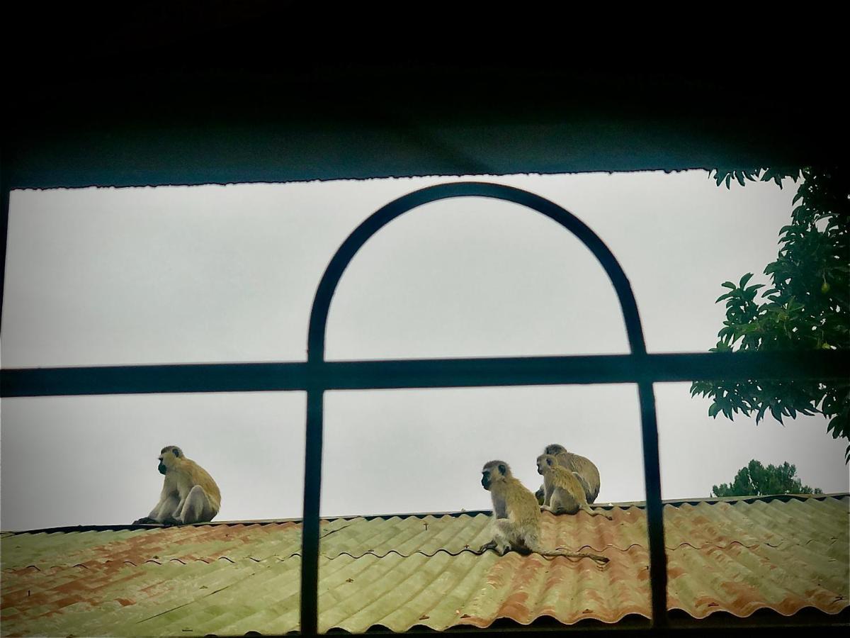 Bed and Breakfast Safari Adventures-House Arusha Exterior foto